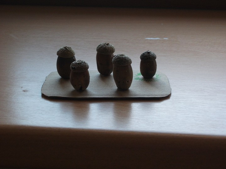 img00005.jpg