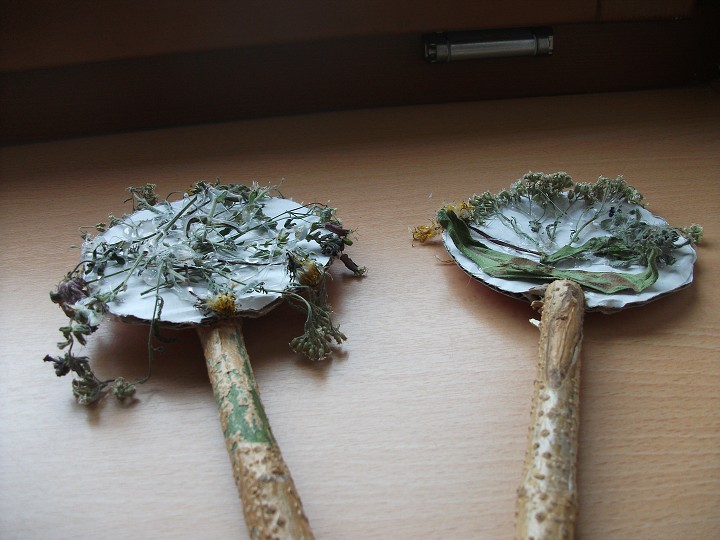 img00023.jpg