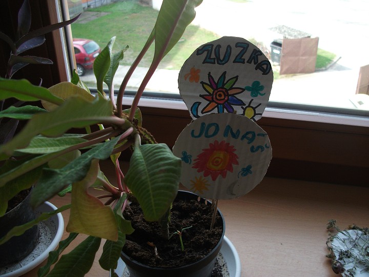 img00024.jpg