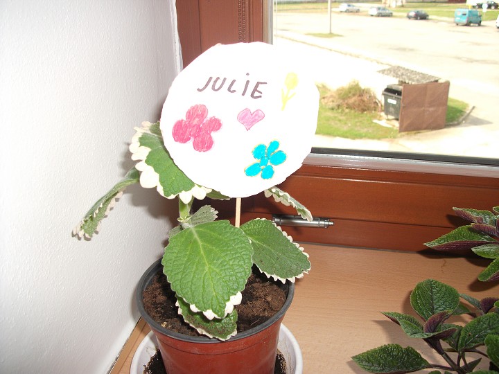 img00027.jpg