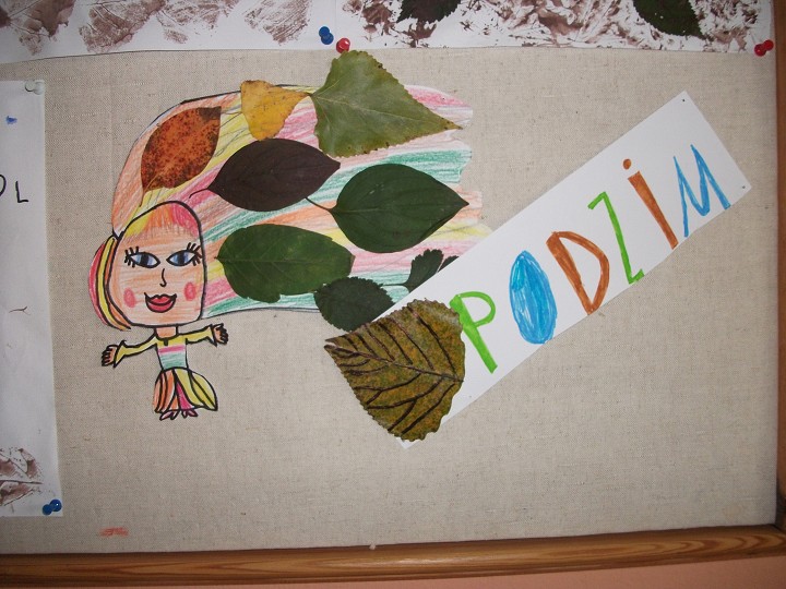 img00037.jpg