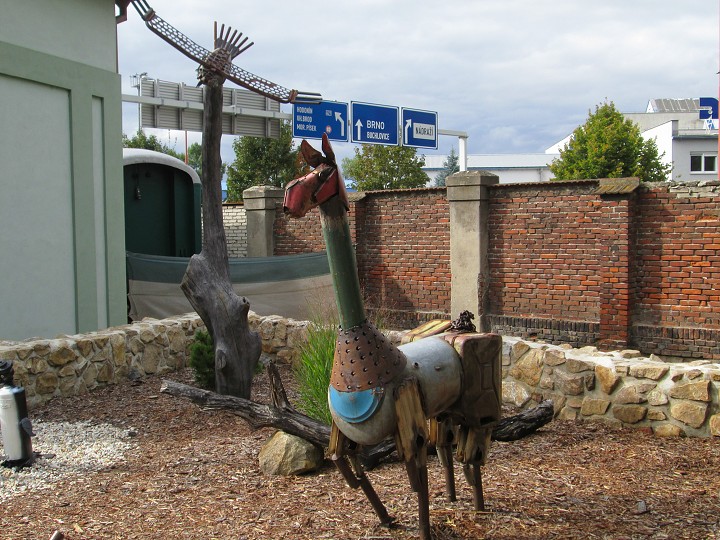 img00029.jpg