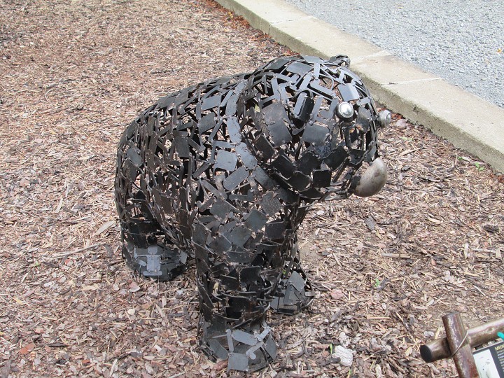 img00042.jpg