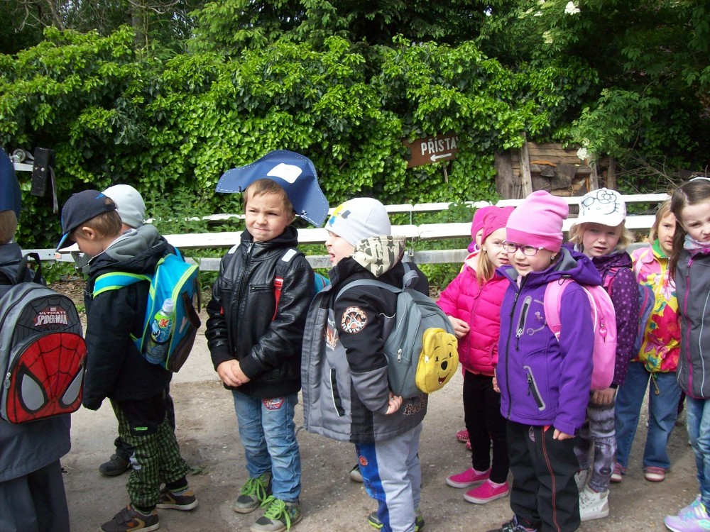 img00010.jpg
