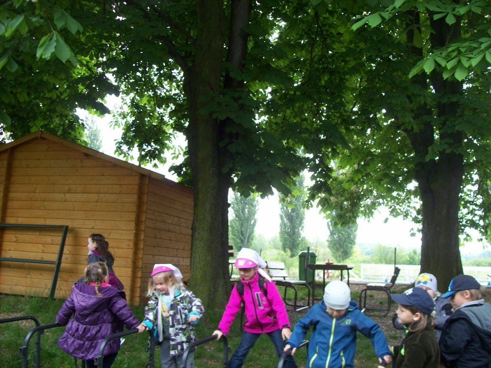 img00075.jpg