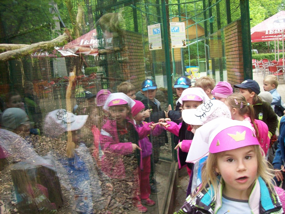 img00077.jpg