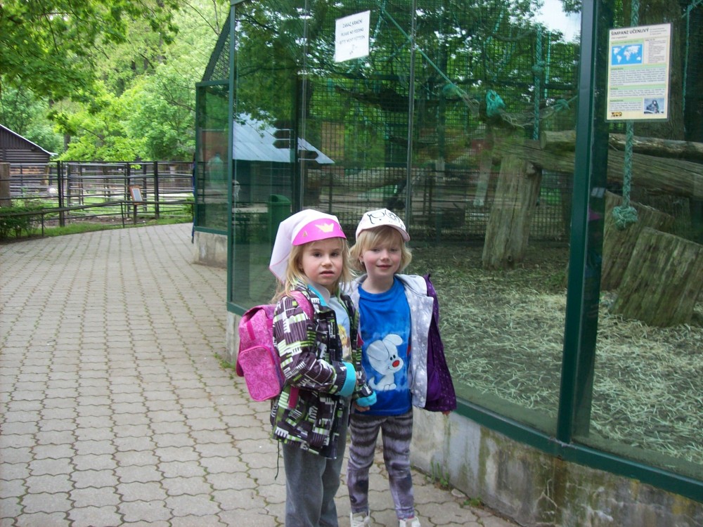 img00078.jpg