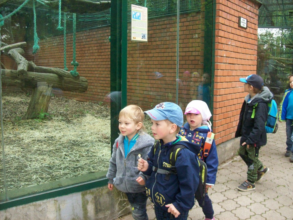 img00079.jpg