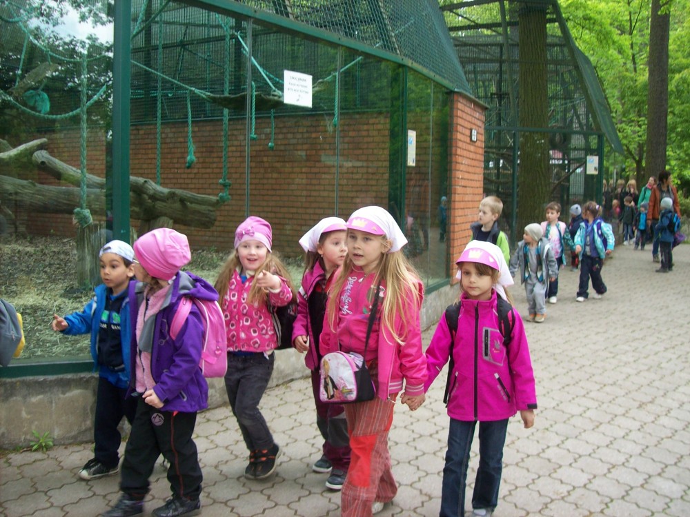 img00080.jpg
