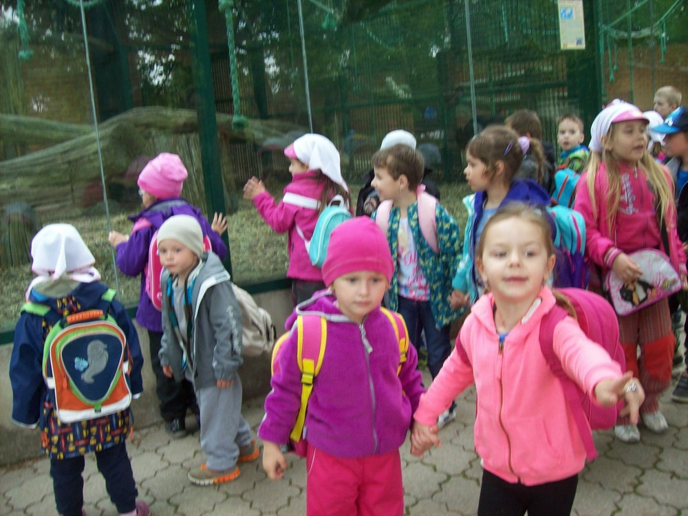 img00081.jpg