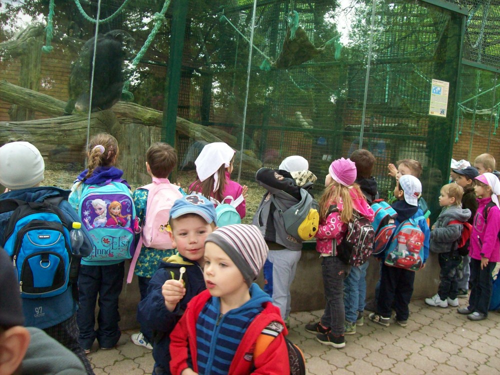 img00082.jpg
