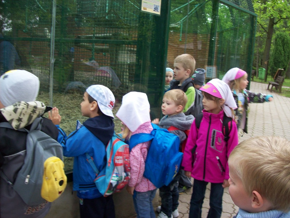 img00083.jpg