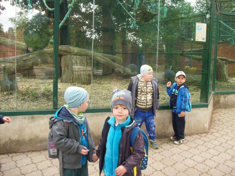 img00084.jpg