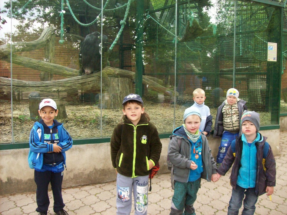img00085.jpg