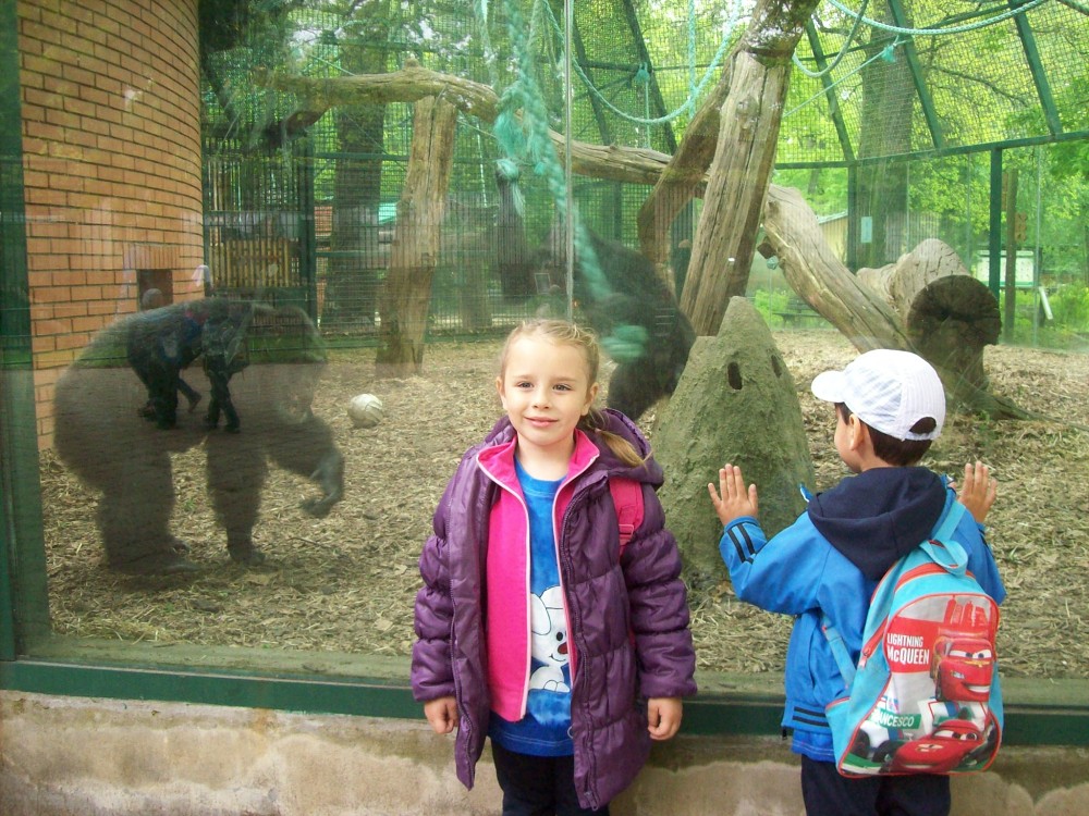 img00086.jpg