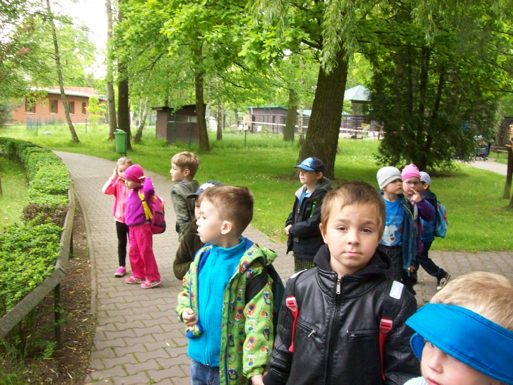 img00087.jpg