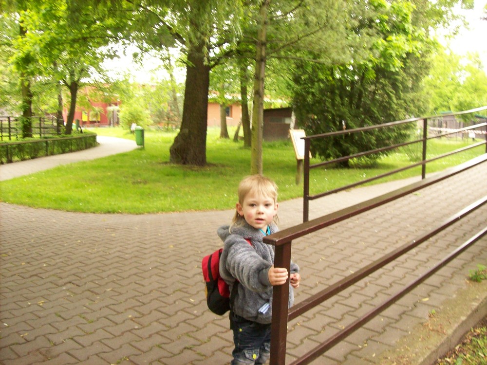img00089.jpg