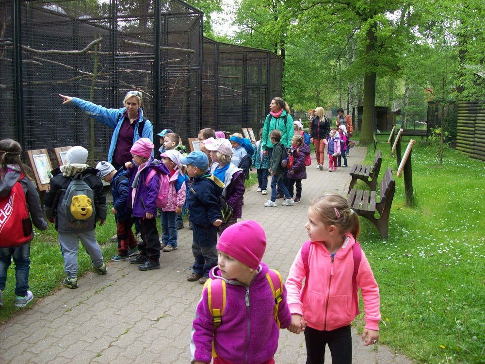 img00091.jpg