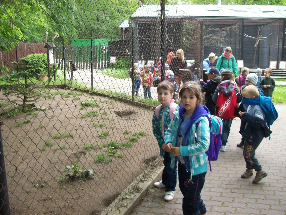 img00092.jpg