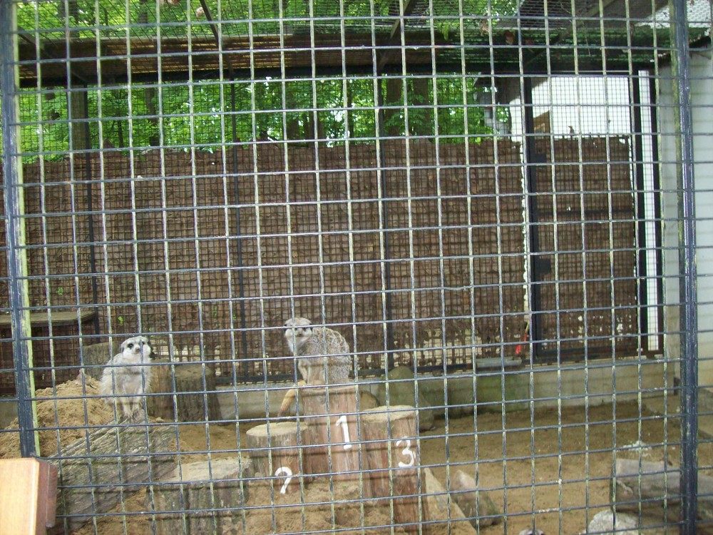 img00093.jpg