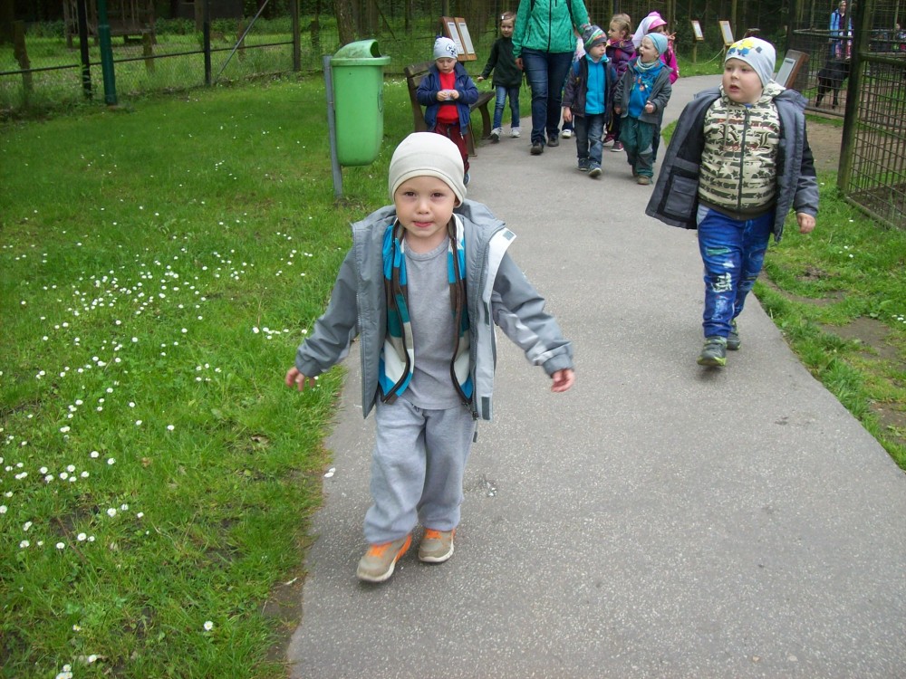 img00094.jpg