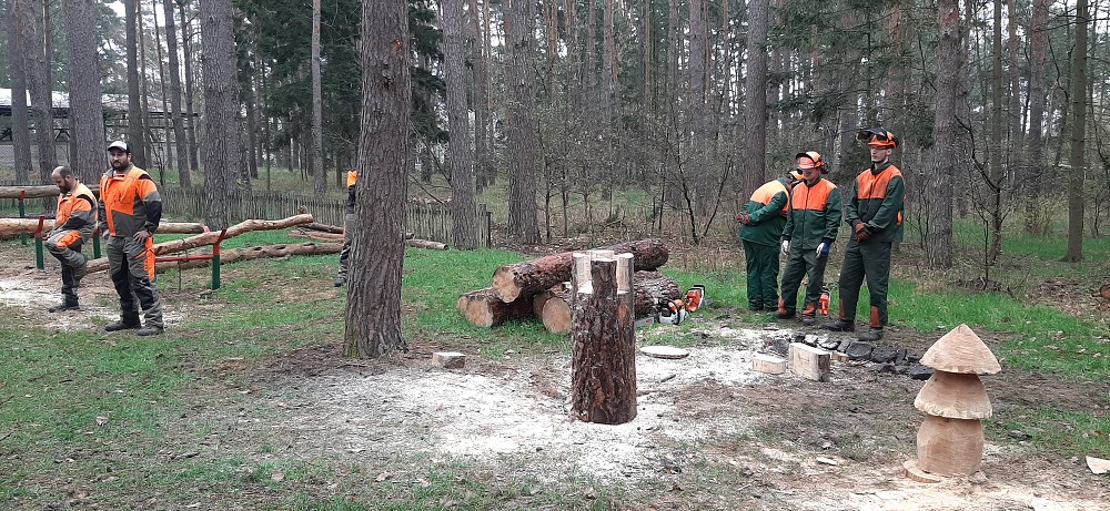 img00003.jpg