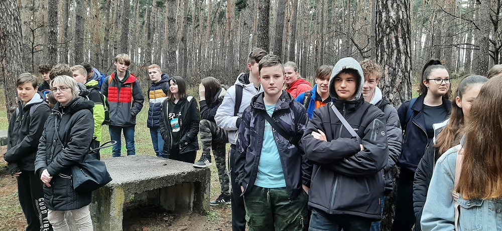 img00005.jpg